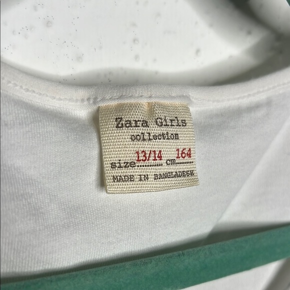 Zara White Long Sleeve Tee with Graphic Print and Floral Accents - Picture 3 of 6